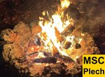 Wintergrillen